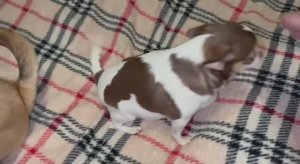 Доброго всем утречка и с началом Масленицы.