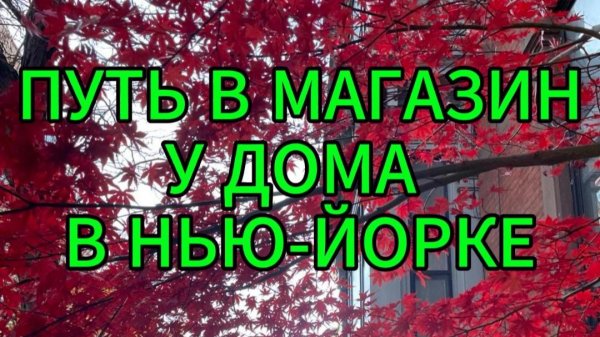 Путь в магазин у дома в Нью-Йорке