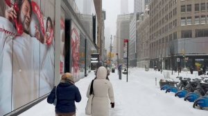 БЕЛЫЙ НЬЮ-ЙОРК 🗽 Атмосферный маршрут по зимним улицам