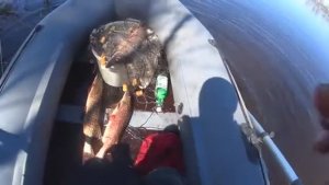 Тайга! Утро! Кузя пропал! Звал!Кричал! Сорвал Голос! Взамен Кузи целая лодка рыбы!