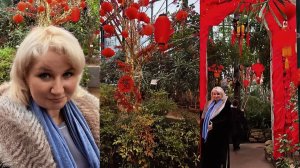 Орхидеи, китайский Новый год и пельмени. Стоит ли ехать, и что пошло не по плану