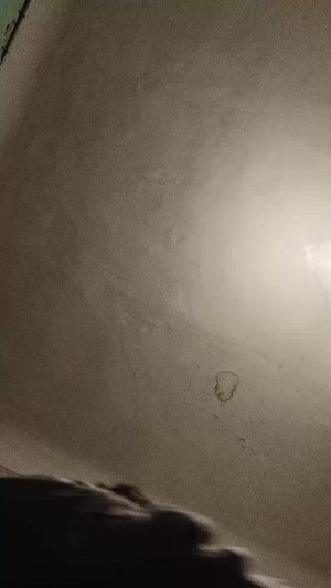 Леонид смотрет себя