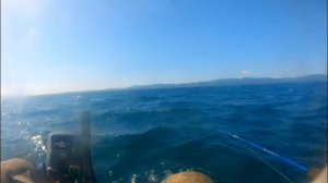 ловим камбалу,минтай