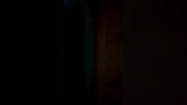 VID_20260213_035722.mp4