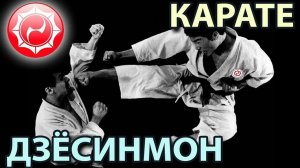 Дзёсинмон Сёринрю Карате-до.