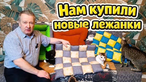 Нам купили новые лежанки.