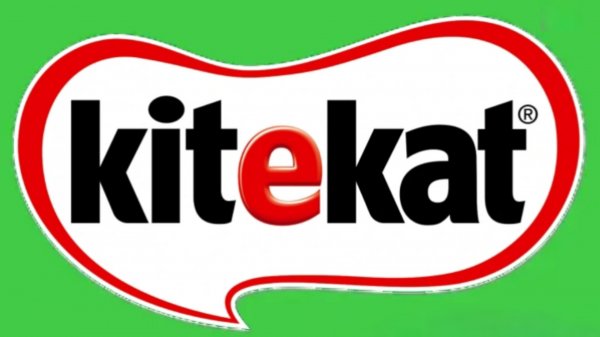 Фрагмент Эфира Kitekat TV 14.02.2026