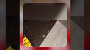 1000048533.mp4 (Собака наблюдает за устройством лестницы на 2 этаж в доме А-фрейм)