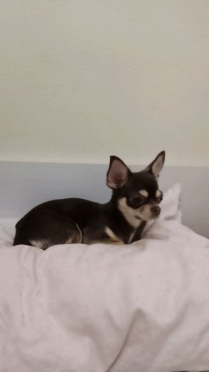 если скушаеш кислую 🍬 ( челанж)‼️