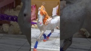 лошади играют в правда или действие