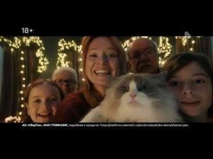 Новогодний рекламный ролик «Сбер» на РЕН ТВ 17.12.2025