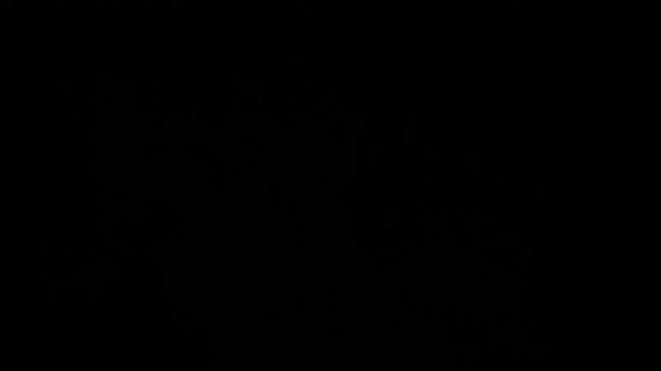 Fuel
"Солдат" 2026