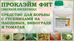 Проклэйм Фит - средство против гусениц на плодовых, винограде и томатах. Обзор смесевого инсектицида