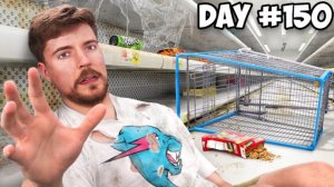 10000$ за каждый день проведённый в гипермаркете. Мистер Бист.