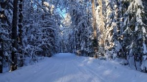 Очень вкусный песочный, ягодный пирог. Экономим электричество. ⚡