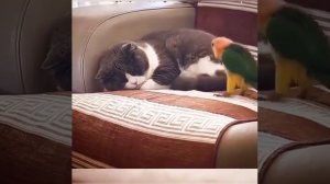 Отвали от меня