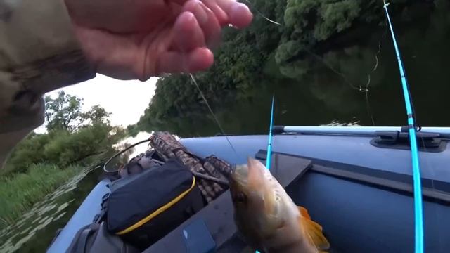 Рыбалка с лодки на выползков .ДОНКИ.(5)