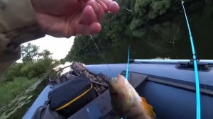 Рыбалка с лодки на выползков .ДОНКИ.(5)