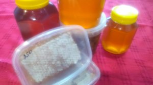 13-02-2026 наш мёд 🍯