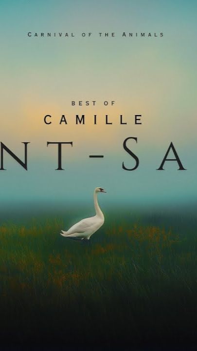 Best of Camille Saint-Saëns - Essential Classical Music