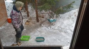 доброе утро дорогие зверята.Карта на корм зверятам 2202 2062 6013 7323