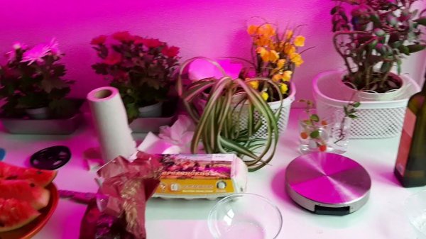 Уборка #142 румтур по шкафам и стол мужа)