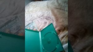 VID_20260212_145755.3gp