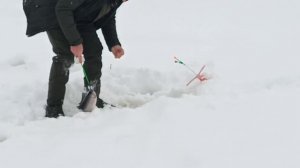 VID_20260213_144522_310