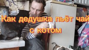 Как дедушка пьёт чай с котом