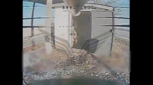 ⚡Сводка Минобороны РФ с 7-13.2.26 в ответ на террористические атаки Украины по гражданским…🔽🔽🔽