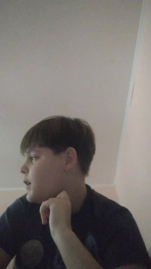 почему не надо перивадится в школу пгт Вербилки.