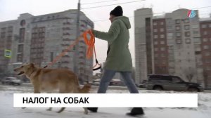 Налог на собак