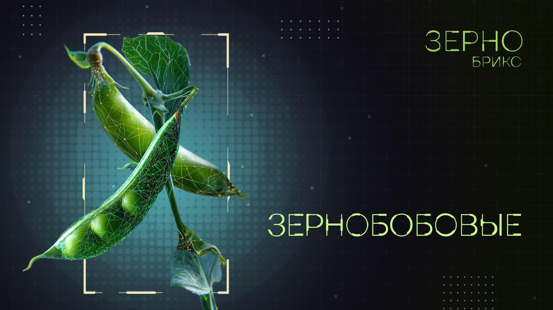 Зерно БРИКС. Зернобобовые