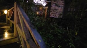 Утро в джунглях Кибале, Уганда