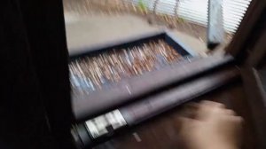 рубрика, архивные видео про бельчат