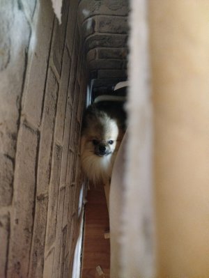 2 выпуск стрима