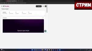 стрим с вебкой 4