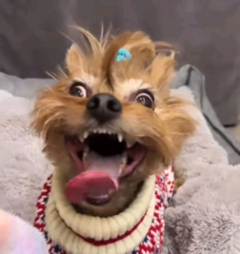 капуста спасает детей от учителей смотреть онлайн