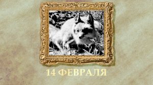 БЫЛО! Историческая рубрика от 14.02.2026