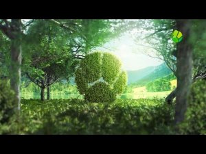 Выход с профилактики канала Живая планета 21.01.2026