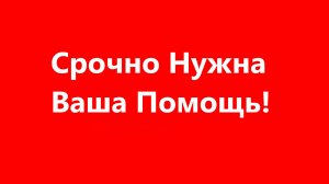 Нужна Ваша Помощь.
