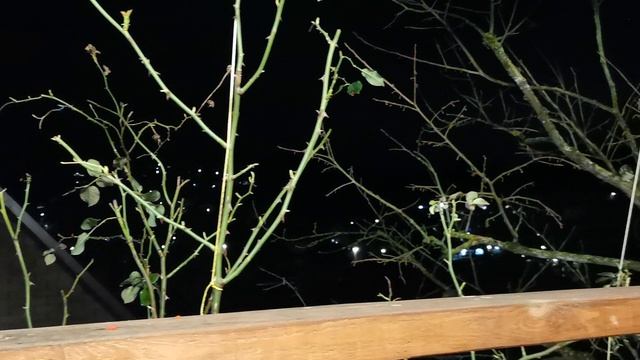 СОЧИ ГОРНОЕ ЛОО УТРО 13.02.2026 смотреть онлайн