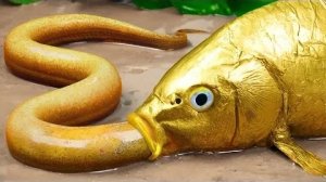 Стоп-кадр ASMR - Рыба Кои Охотится на розового сома | Красочная рыба Кои | Примитивный кулинарный эк