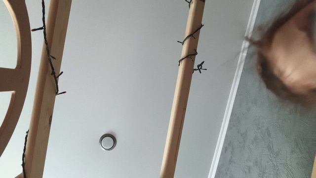 Что не спишь 🤨 моё 1 видео на канале.