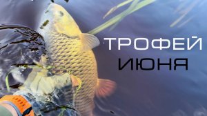 КОГДА 20 МИНУТ РЫБАЛКИ СДЕЛАЛИ ДЕНЬ!