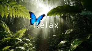 Музыка для расслабления сна отдыха