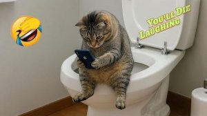 САМЫЕ СМЕШНЫЕ КОШКИ И СОБАКИ!!😹🐶ПОПРОБУЙ НЕ ЗАСМЕЯТЬСЯ!!! ЗАБАВНЫЕ ЖИВОТНЫЕ! РЕАКЦИЯ