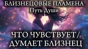 Близнецовые пламена. Что чувствует/думает близнец?