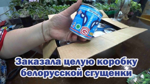 Обзор покупок с маркетплейсов: семена перцев и огурцов, носки, сгущенка из Белоруссии