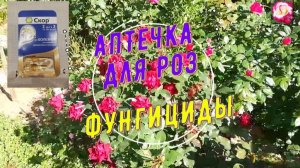 АПТЕЧКА ДЛЯ РОЗ. ФУНГИЦИДЫ